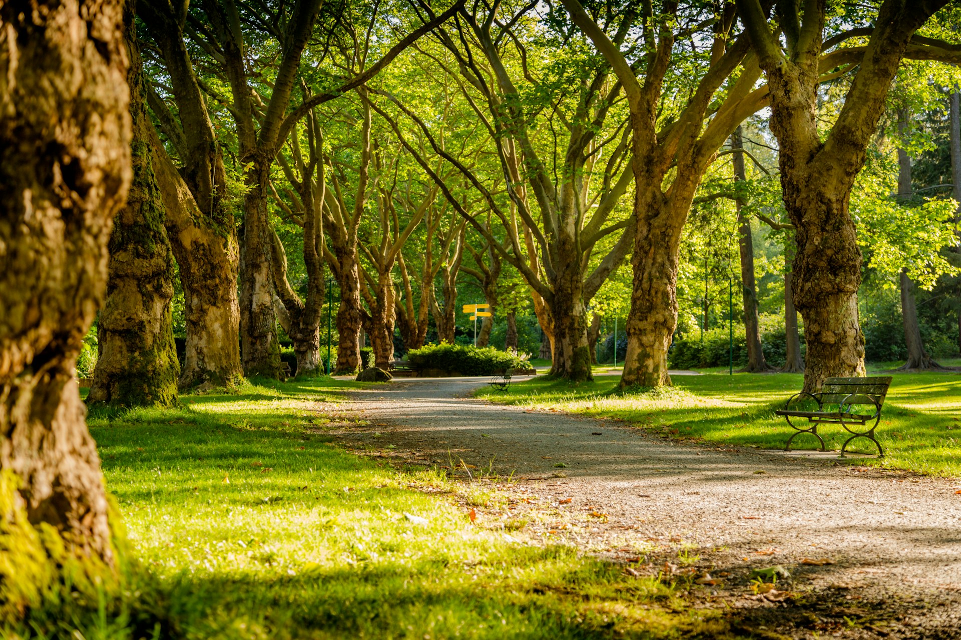 Persona caminando tranquilamente por parque en la mañana